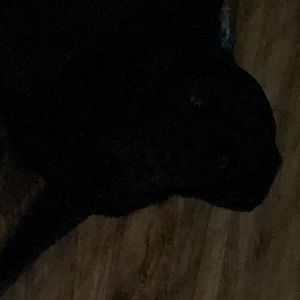 Meet your Posher, Jenny